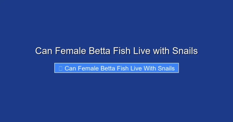 Can Female Betta Fish Live with Snails