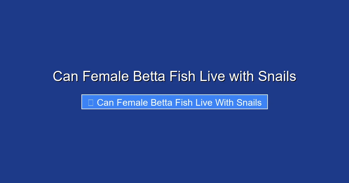 Can Female Betta Fish Live with Snails