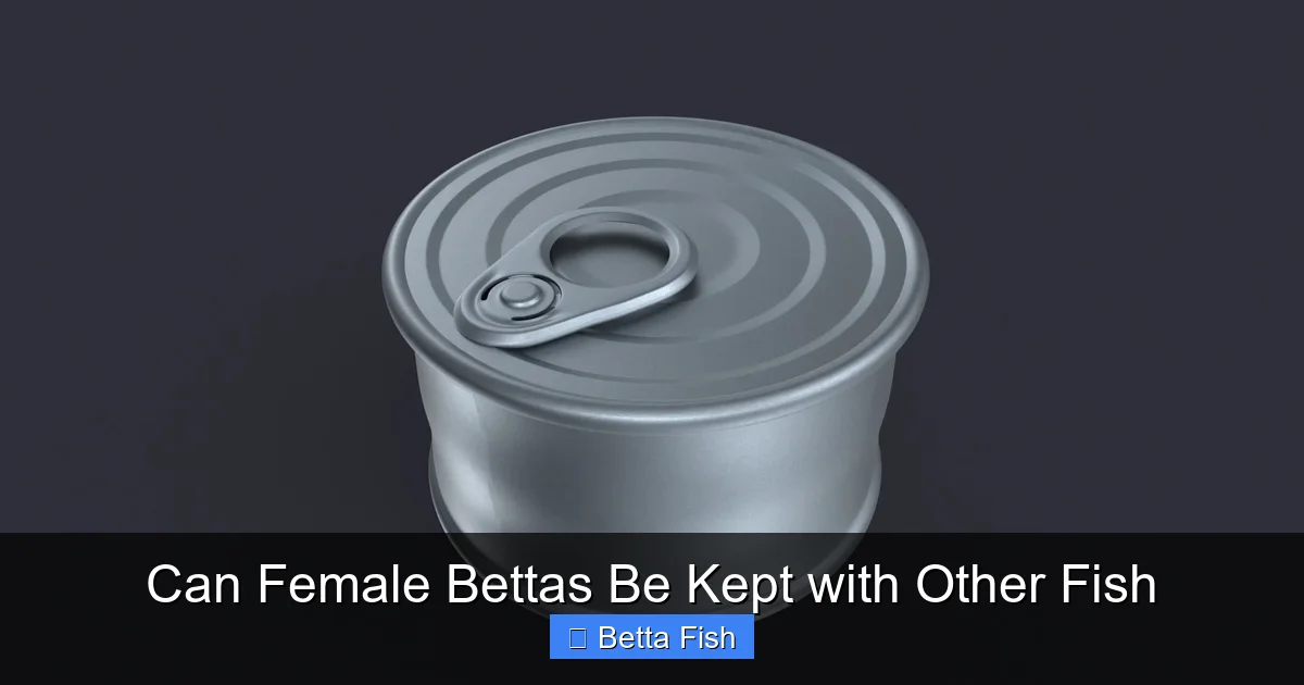 Can Female Bettas Be Kept with Other Fish