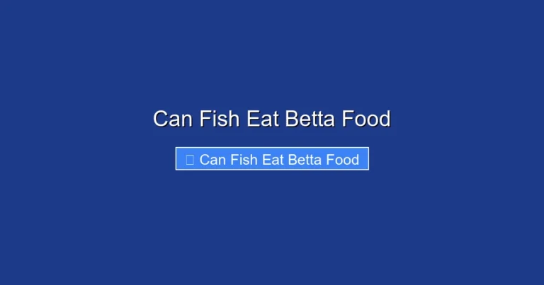 Can Fish Eat Betta Food