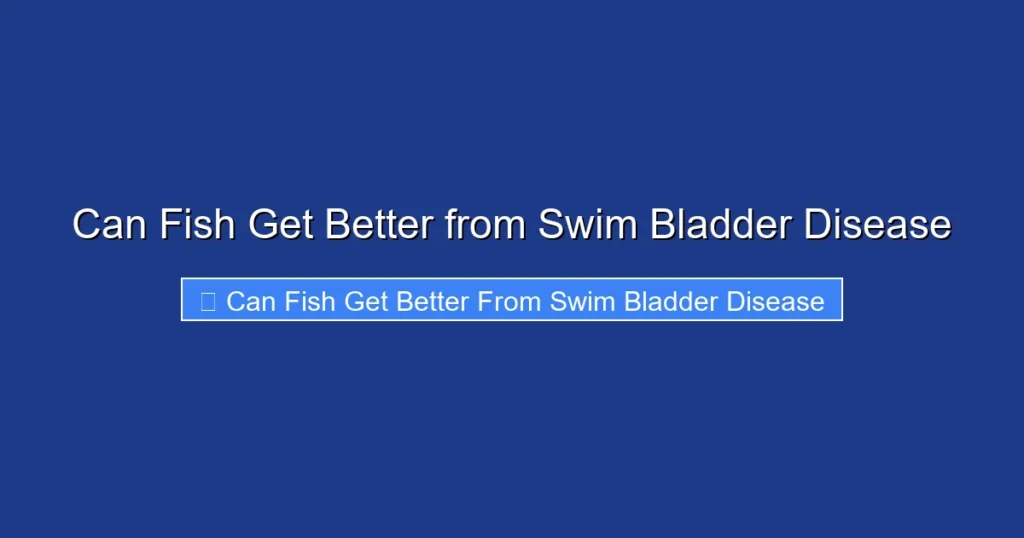 Can Fish Get Better from Swim Bladder Disease