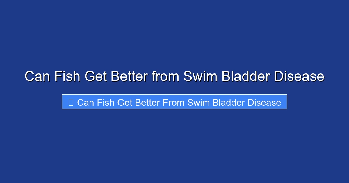Can Fish Get Better from Swim Bladder Disease