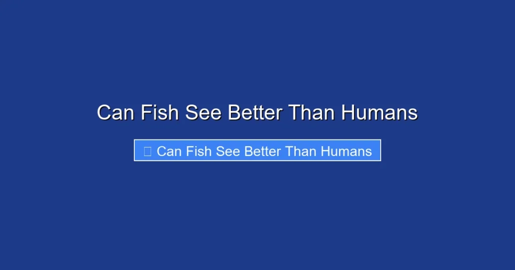Can Fish See Better Than Humans