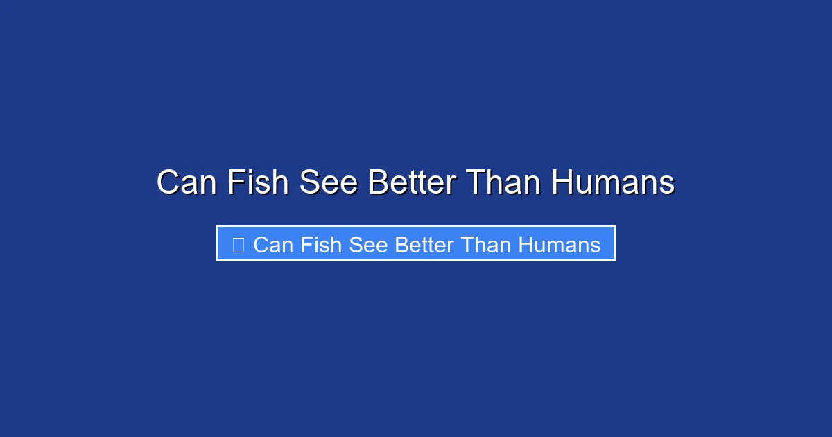 Can Fish See Better Than Humans