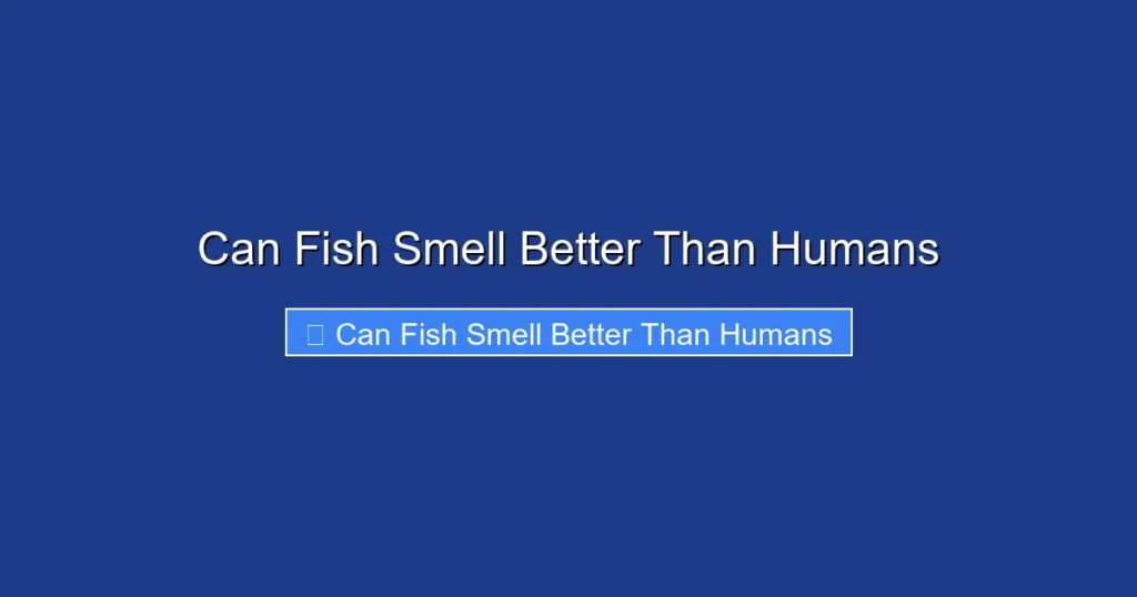 Can Fish Smell Better Than Humans