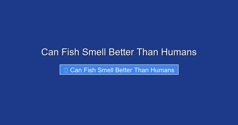 Can Fish Smell Better Than Humans