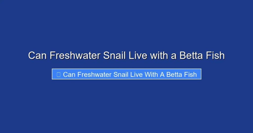 Can Freshwater Snail Live with a Betta Fish