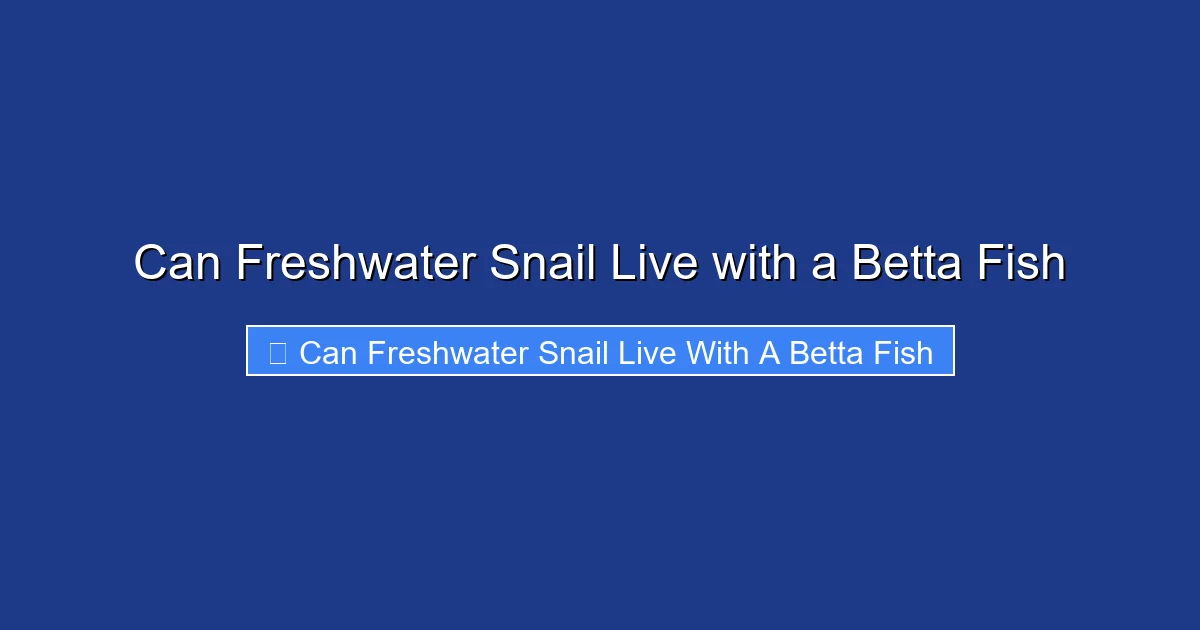 Can Freshwater Snail Live with a Betta Fish