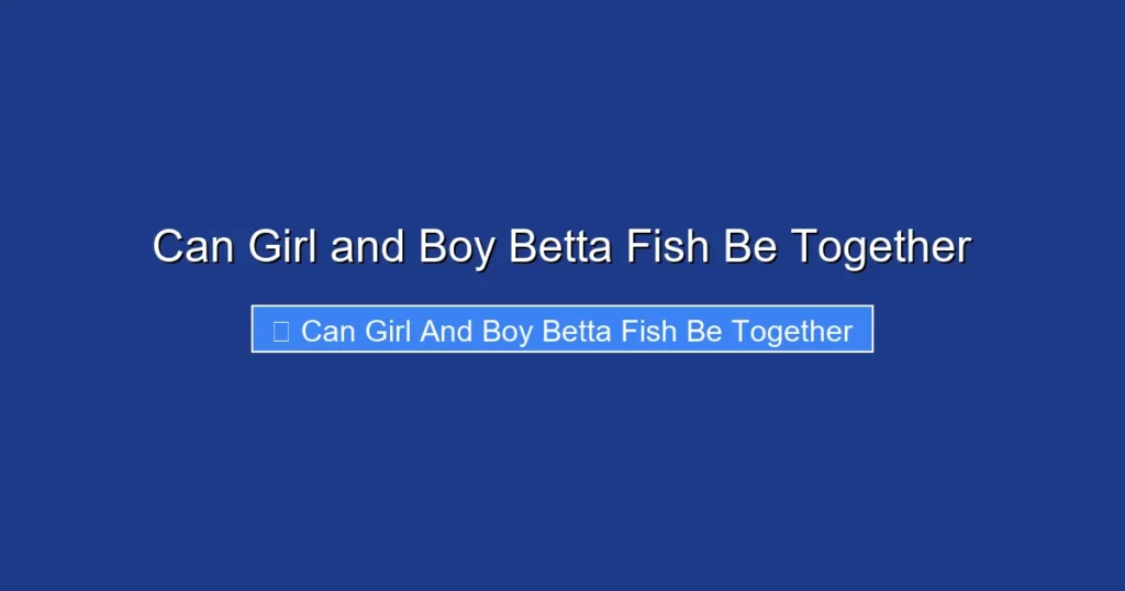 Can Girl and Boy Betta Fish Be Together