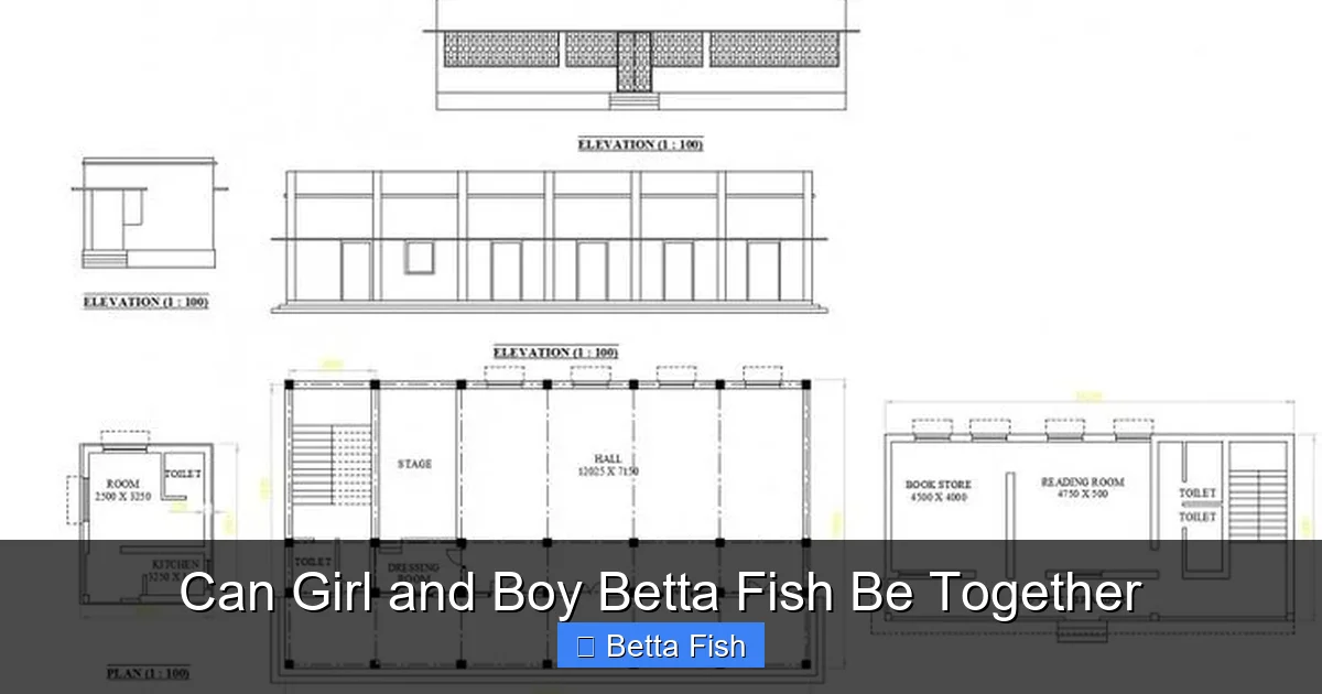 Can Girl and Boy Betta Fish Be Together