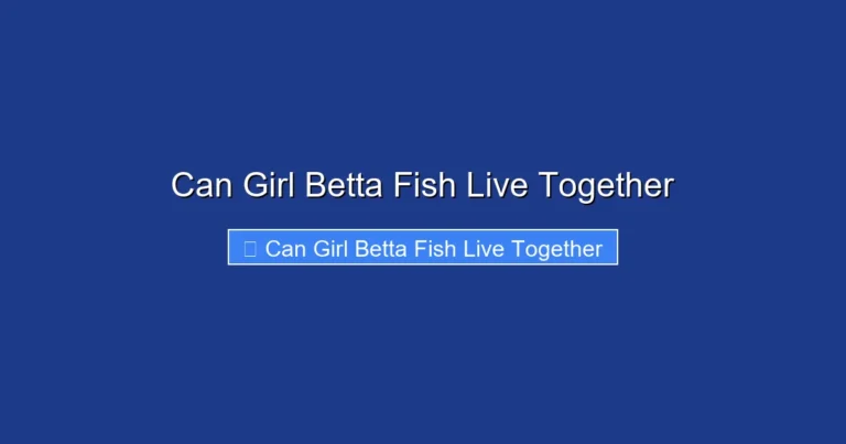 Can Girl Betta Fish Live Together