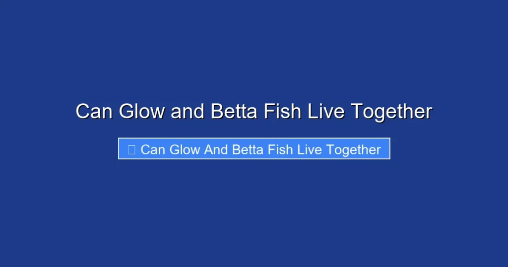 Can Glow and Betta Fish Live Together