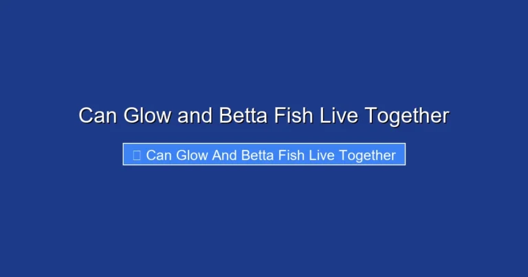 Can Glow and Betta Fish Live Together
