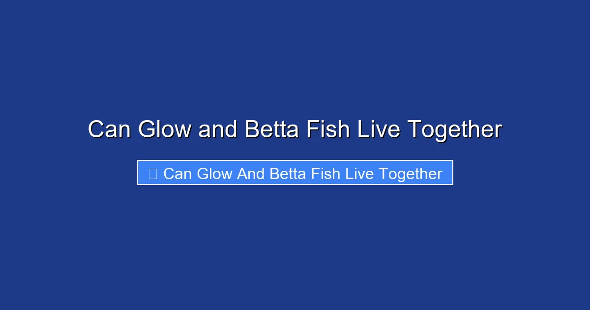 Can Glow and Betta Fish Live Together