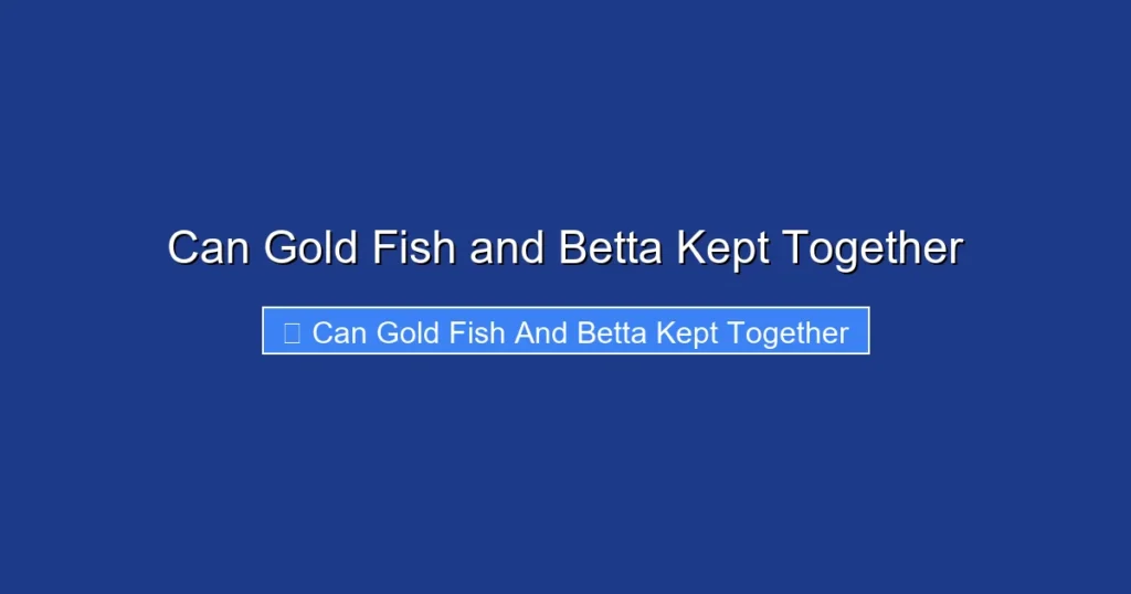 Can Gold Fish and Betta Kept Together