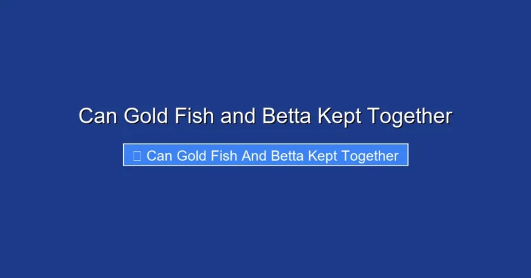 Can Gold Fish and Betta Kept Together