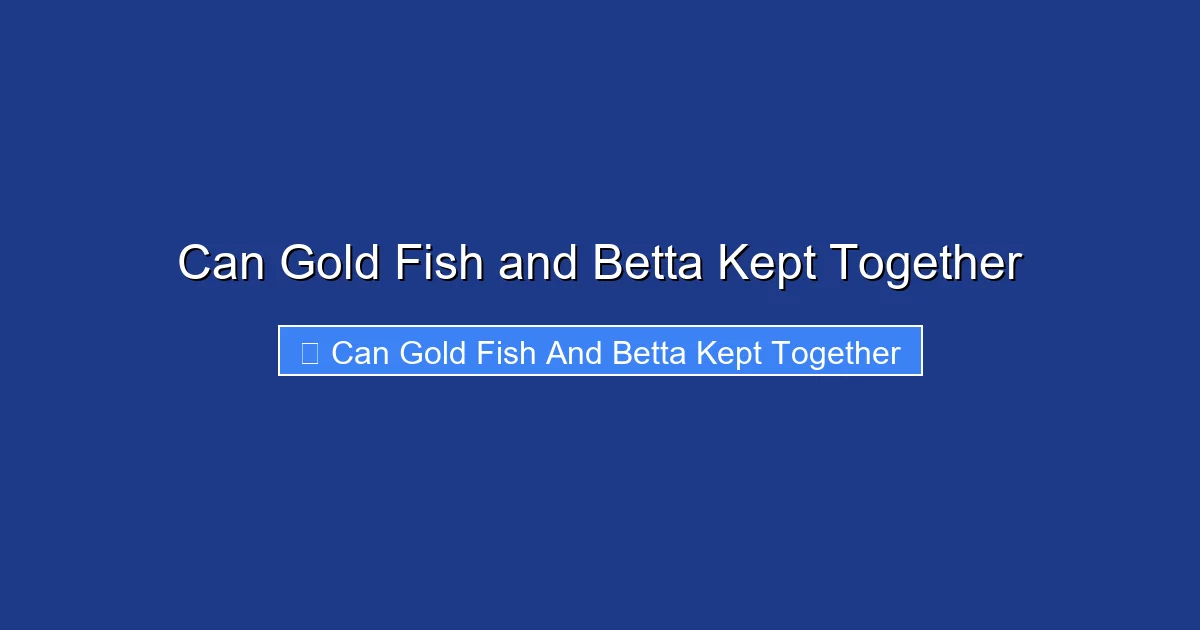 Can Gold Fish and Betta Kept Together