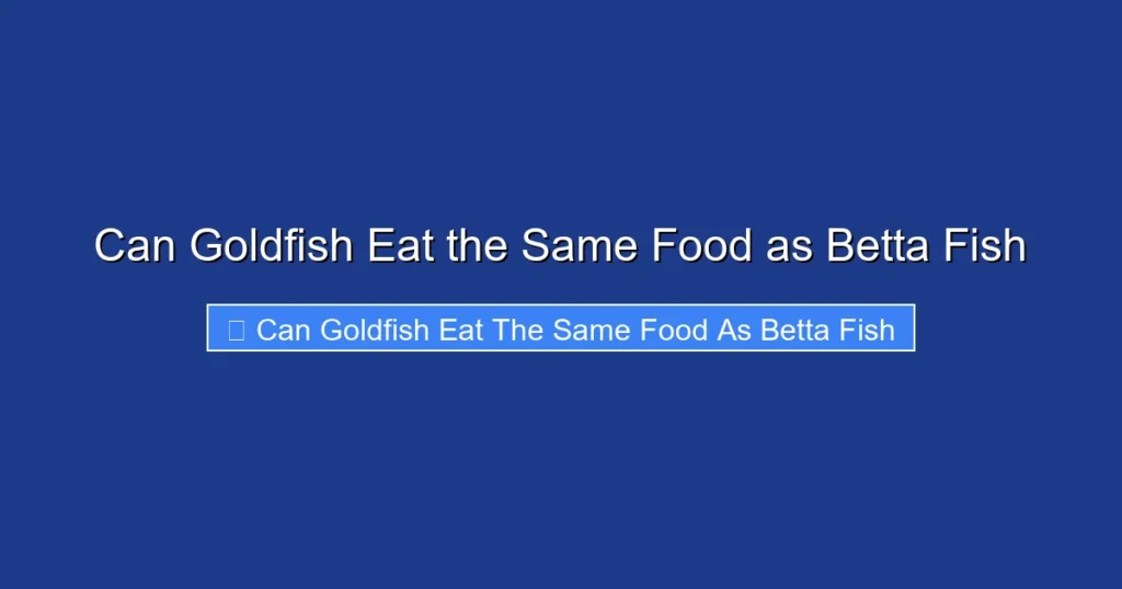 Can Goldfish Eat the Same Food as Betta Fish