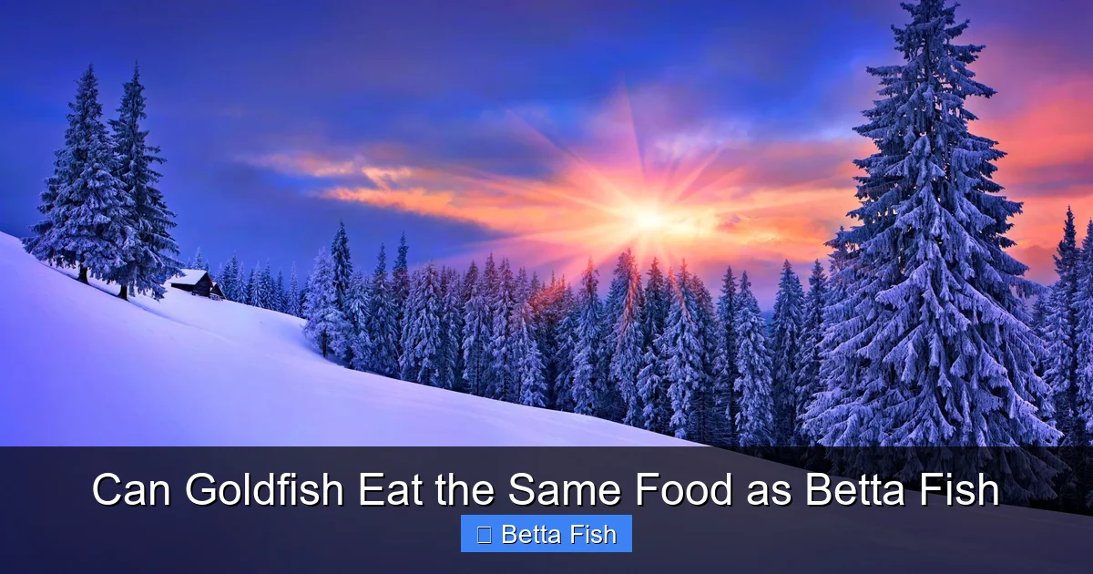 Can Goldfish Eat the Same Food as Betta Fish