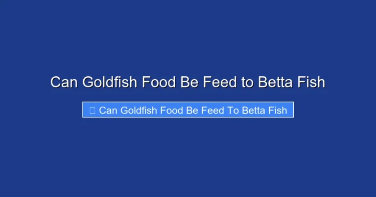 Can Goldfish Food Be Feed to Betta Fish