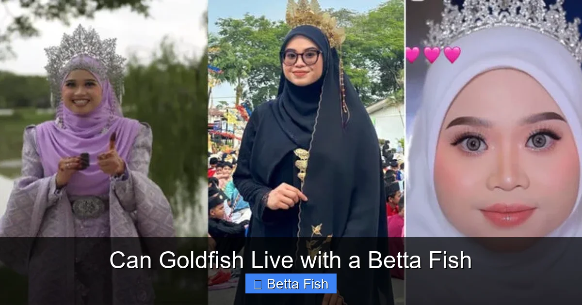 Can Goldfish Live with a Betta Fish
