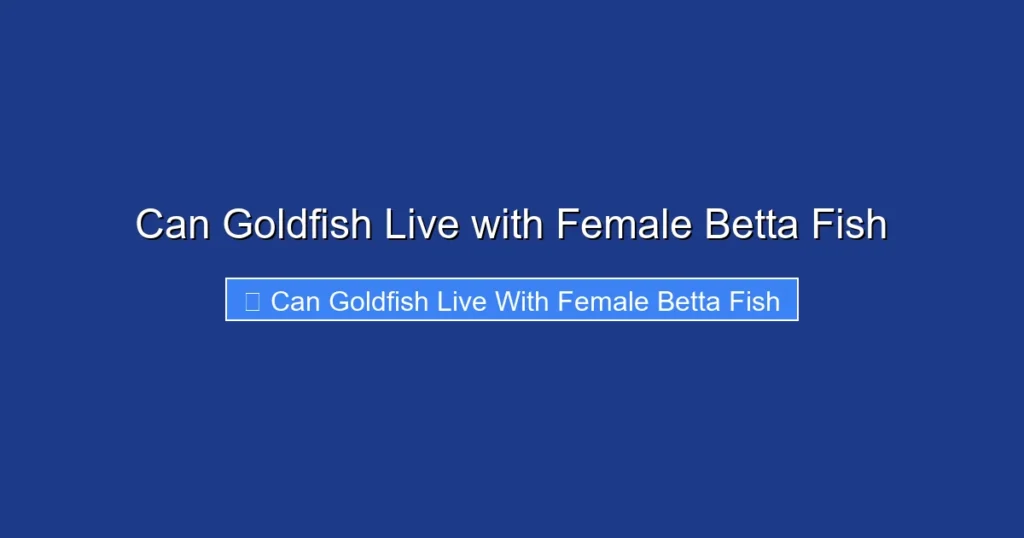 Can Goldfish Live with Female Betta Fish