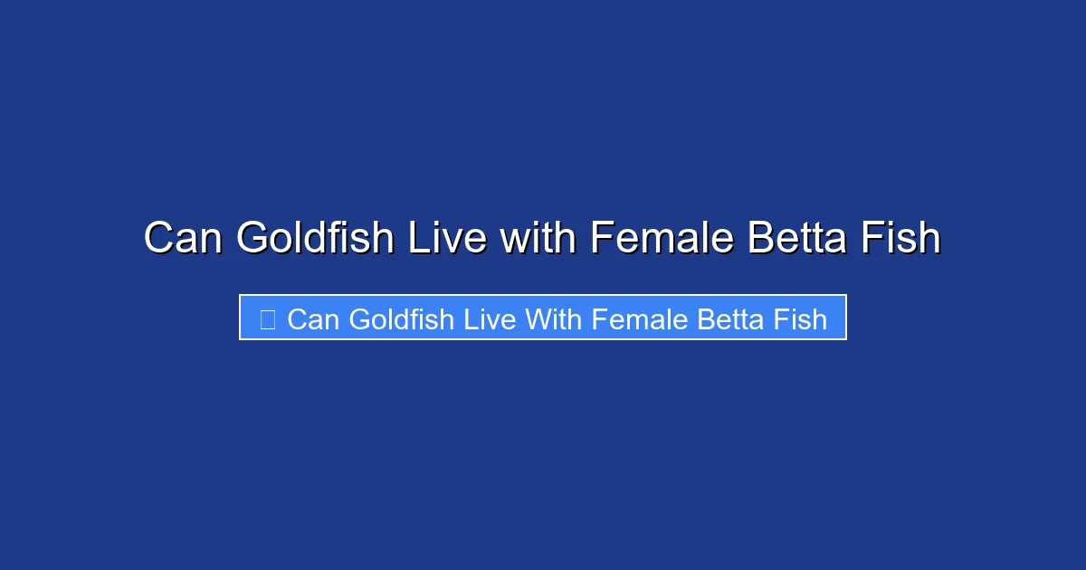 Can Goldfish Live with Female Betta Fish