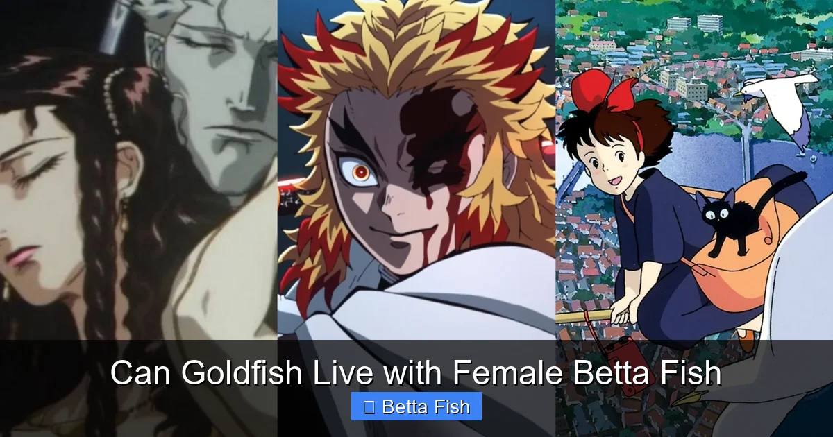 Can Goldfish Live with Female Betta Fish