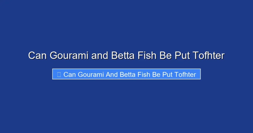 Can Gourami and Betta Fish Be Put Tofhter