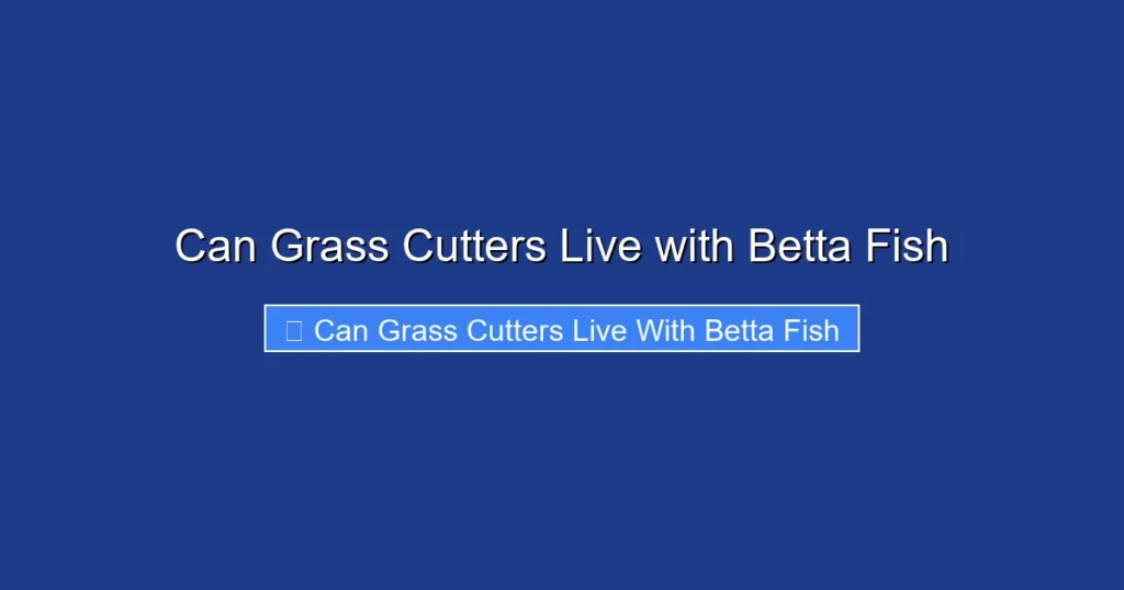 Can Grass Cutters Live with Betta Fish