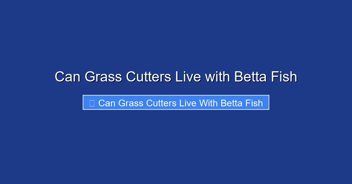 Can Grass Cutters Live with Betta Fish