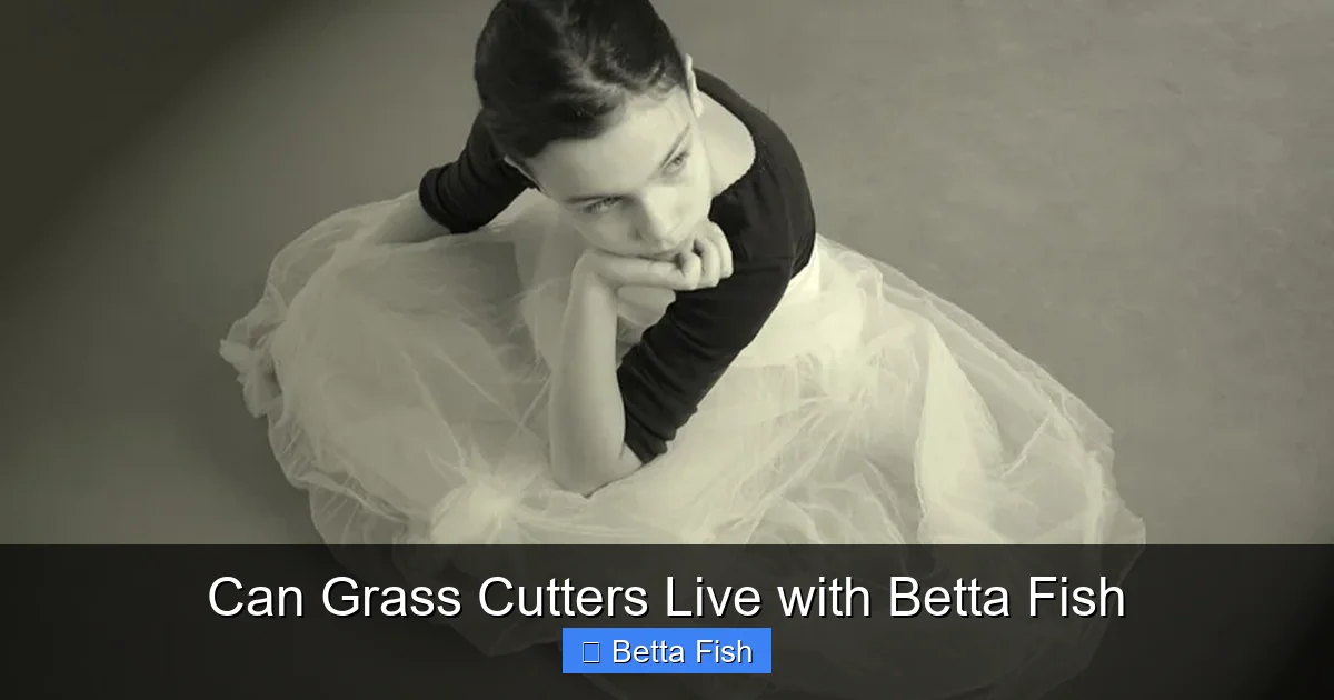 Can Grass Cutters Live with Betta Fish