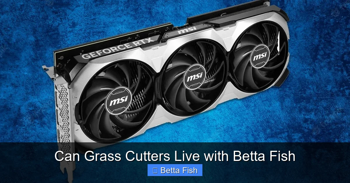 Can Grass Cutters Live with Betta Fish