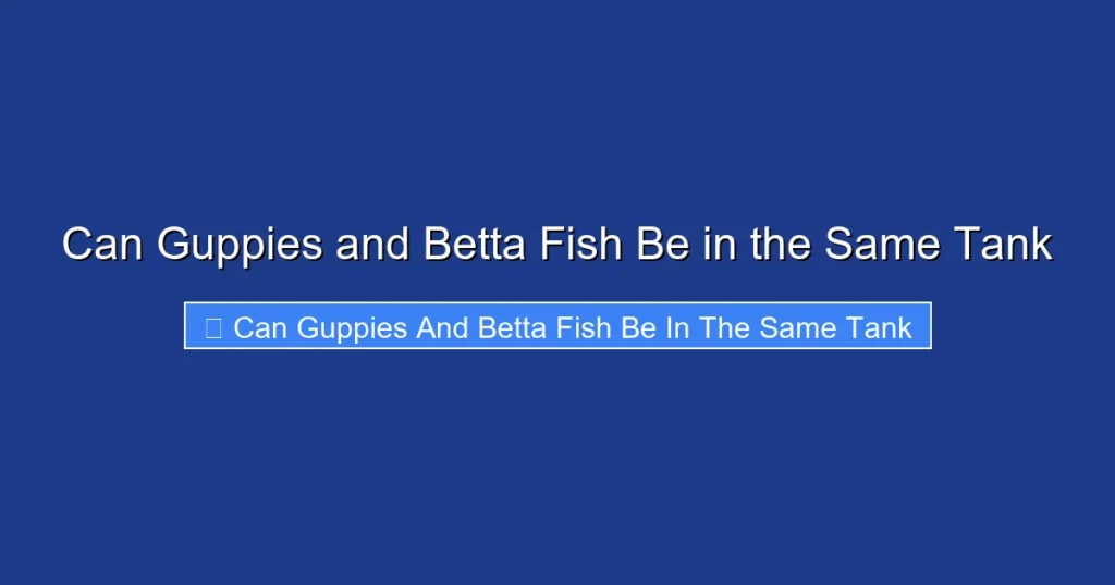 Can Guppies and Betta Fish Be in the Same Tank