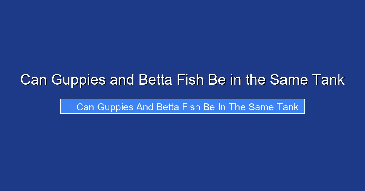 Can Guppies and Betta Fish Be in the Same Tank