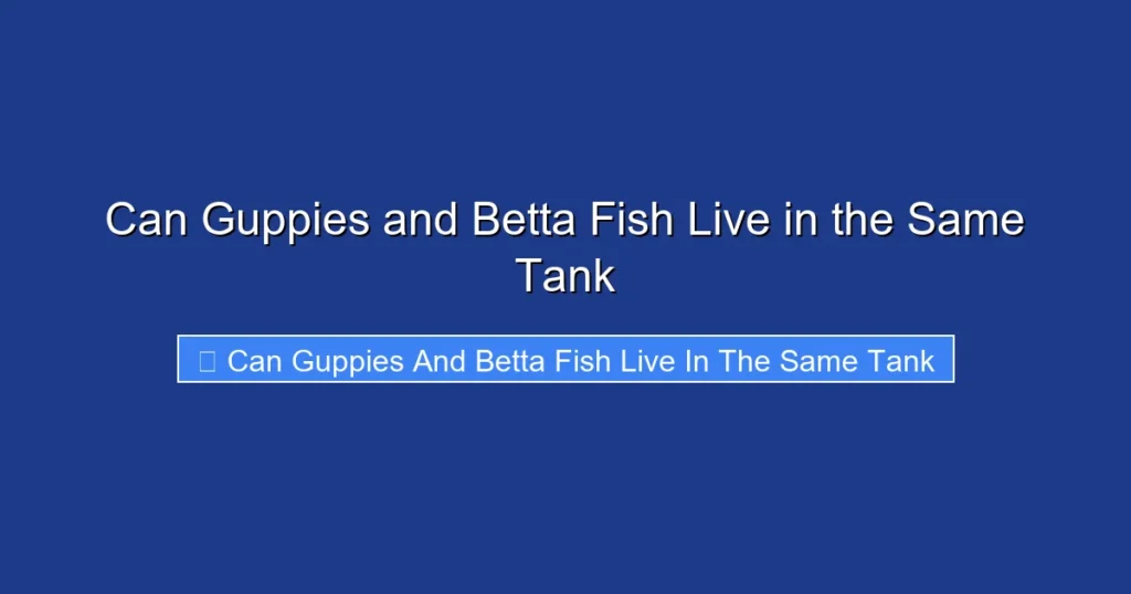 Can Guppies and Betta Fish Live in the Same Tank