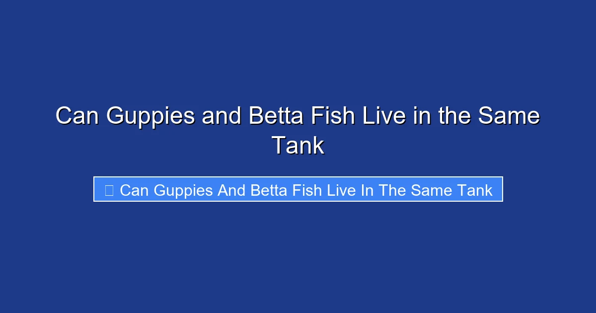 Can Guppies and Betta Fish Live in the Same Tank