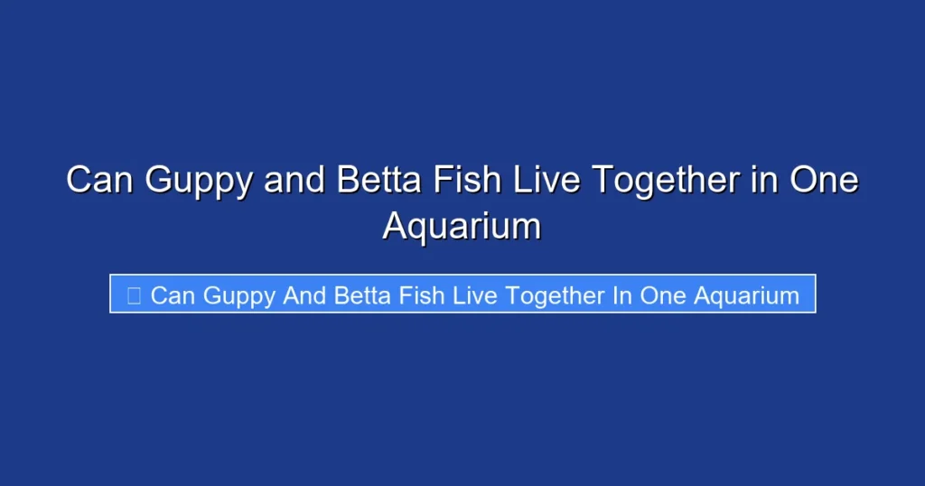 Can Guppy and Betta Fish Live Together in One Aquarium