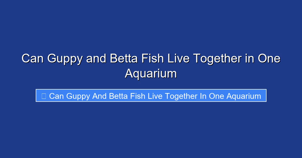 Can Guppy and Betta Fish Live Together in One Aquarium