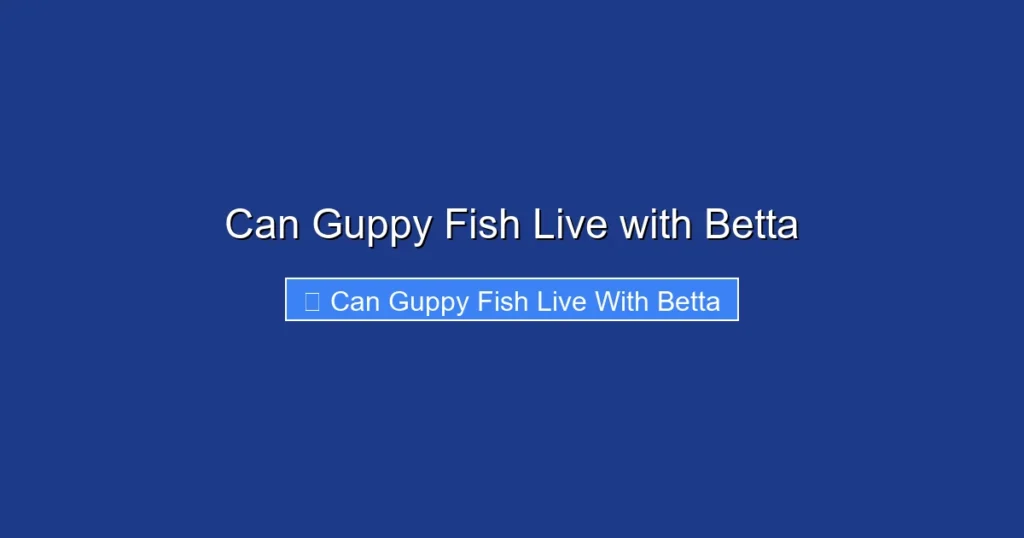 Can Guppy Fish Live with Betta
