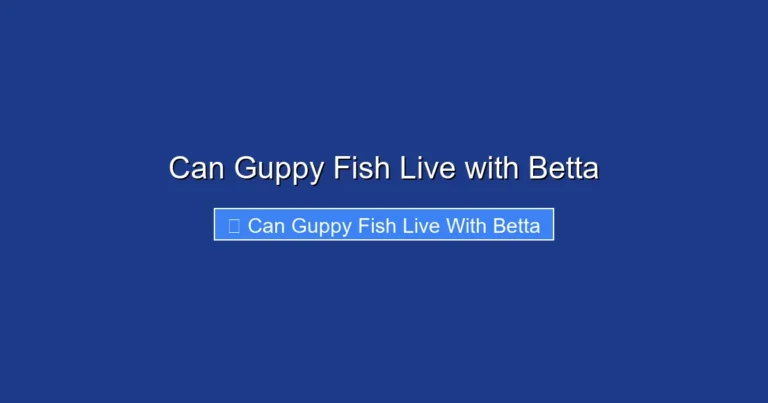 Can Guppy Fish Live with Betta