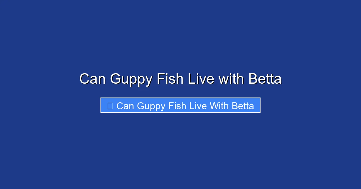 Can Guppy Fish Live with Betta
