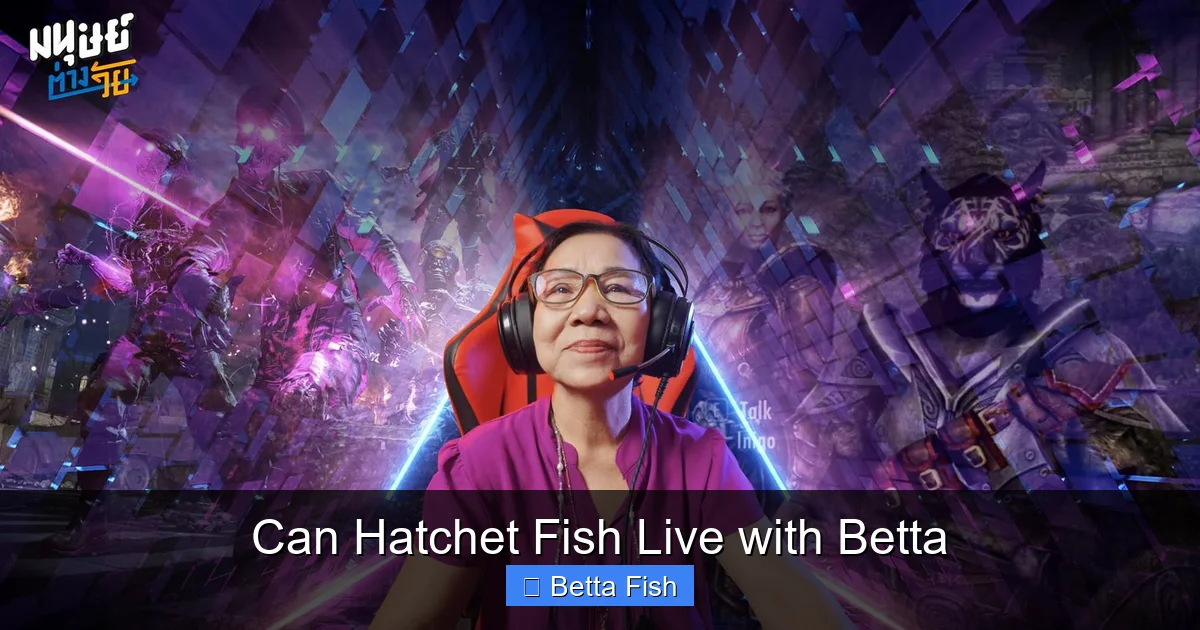 Can Hatchet Fish Live with Betta