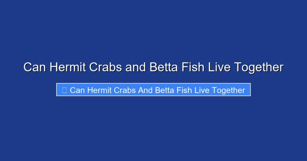 Can Hermit Crabs and Betta Fish Live Together