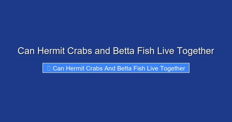 Can Hermit Crabs and Betta Fish Live Together