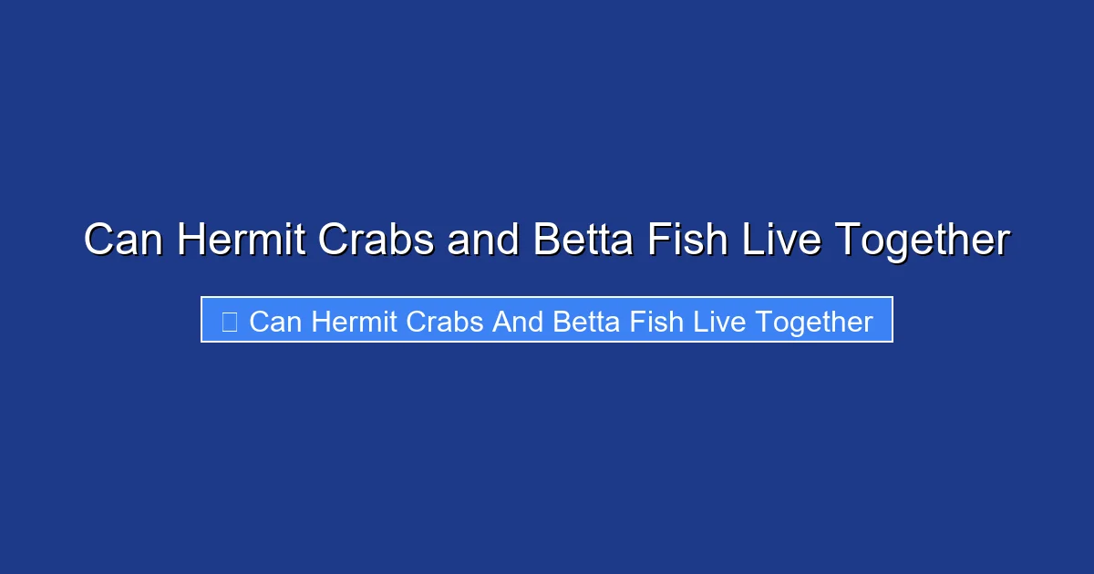 Can Hermit Crabs and Betta Fish Live Together