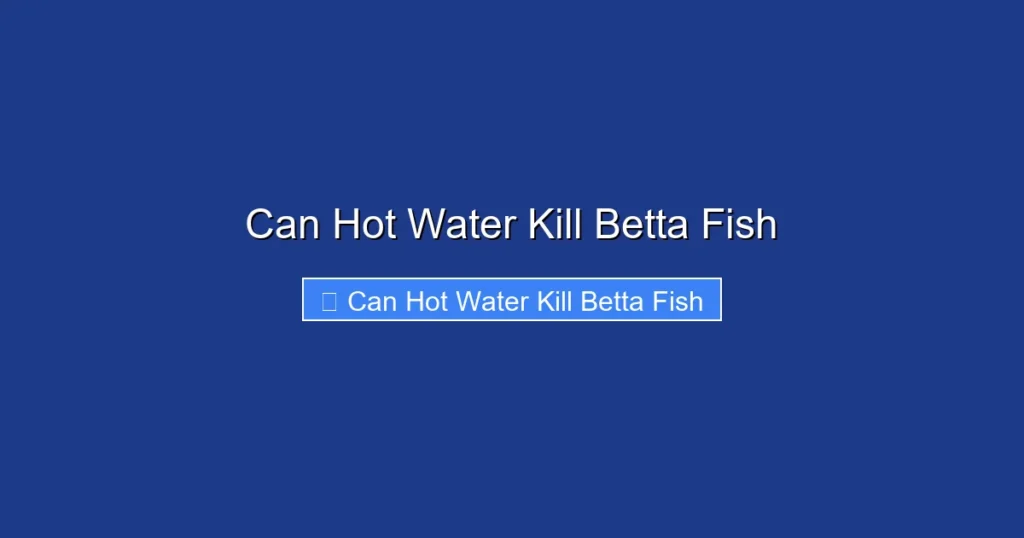 Can Hot Water Kill Betta Fish