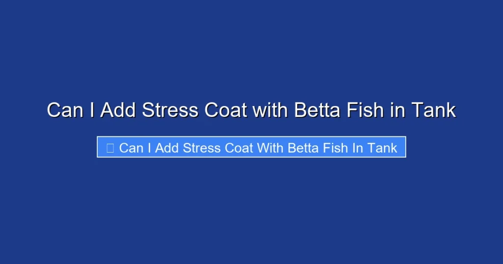 Can I Add Stress Coat with Betta Fish in Tank