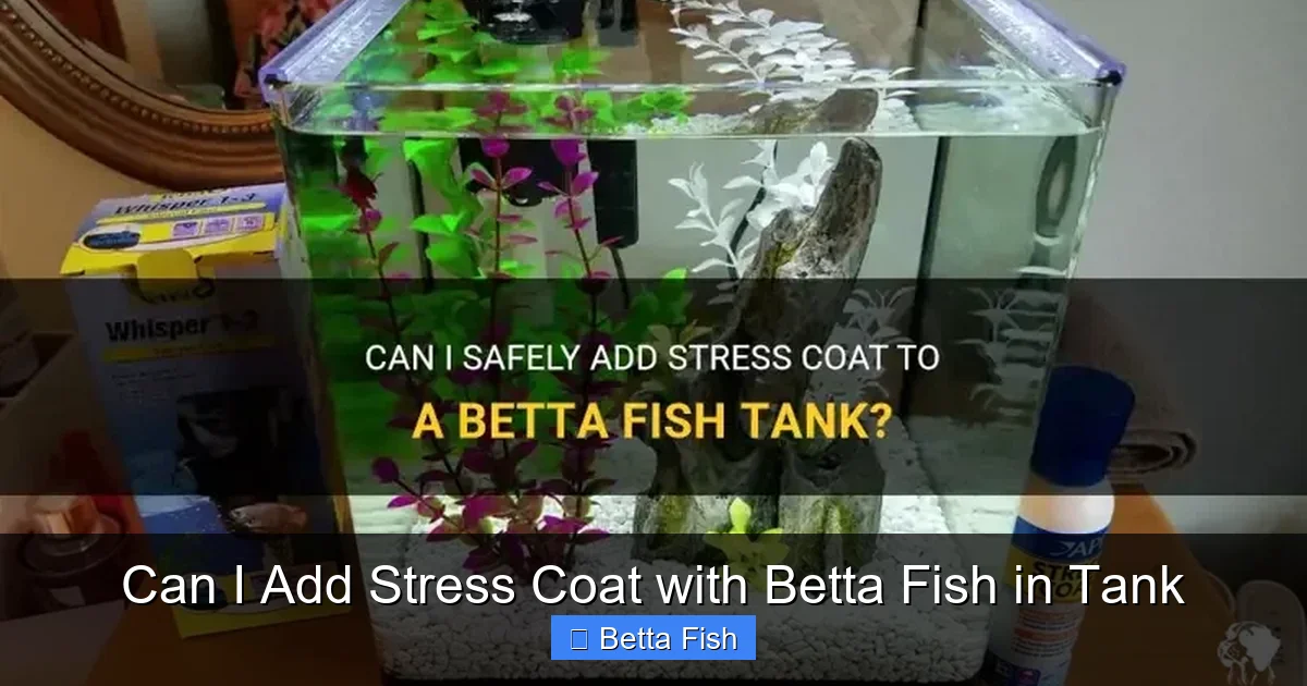 Can I Add Stress Coat with Betta Fish in Tank
