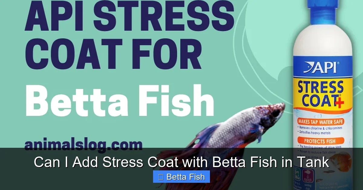 Can I Add Stress Coat with Betta Fish in Tank
